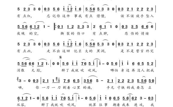 醉了我就吹吹风（雨中百合演唱） - 乐谱