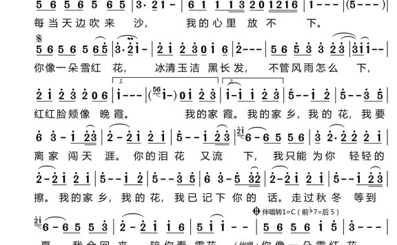 雪红花（腾格尔演唱） - 乐谱