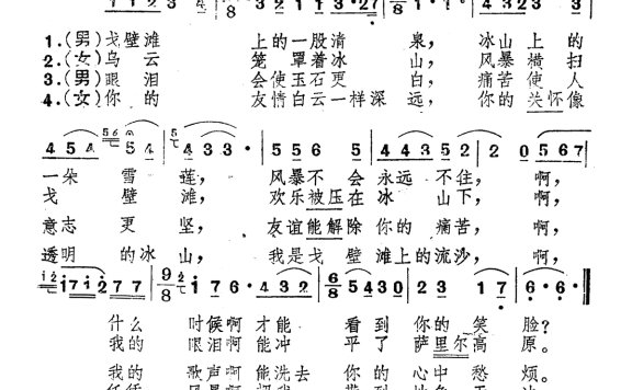 歌手-冰山上的雪莲