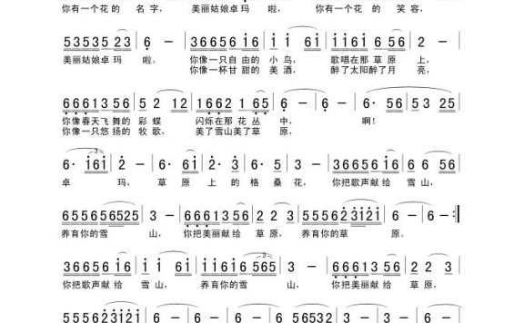 歌手-卓玛