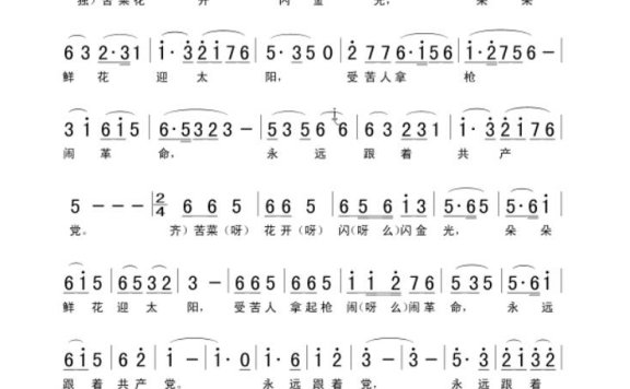歌手-苦菜花开闪金光
