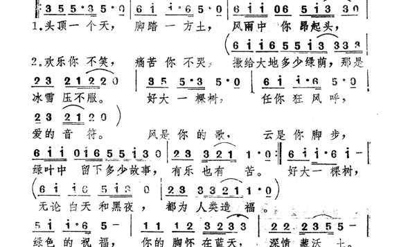 张小梅-好大一棵树