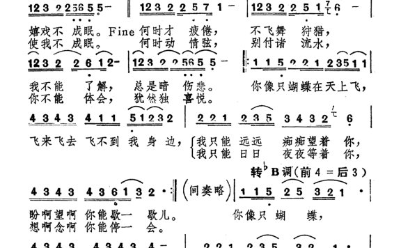 张洪量-美丽的花蝴蝶