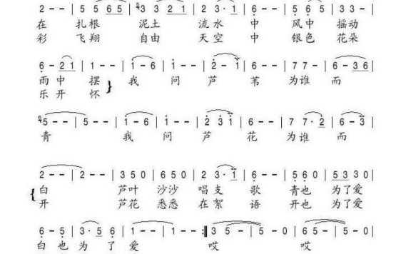 万林媚-芦苇青青芦花白