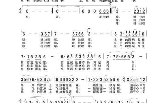 卓玛-卓玛(央金兰泽)