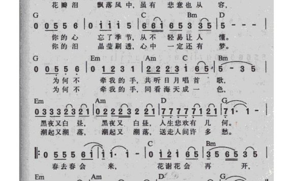 周华健-花心 (2)