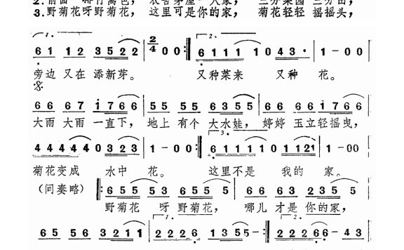 林志颖-野菊花