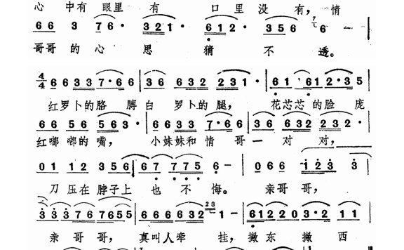 歌手-情哥哥的心思猜不透