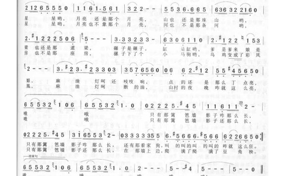 孙国庆-篱笆墙的影子