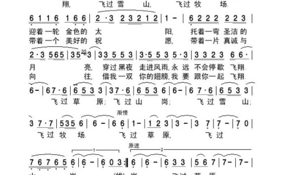 容中尔甲-雄鹰在飞翔