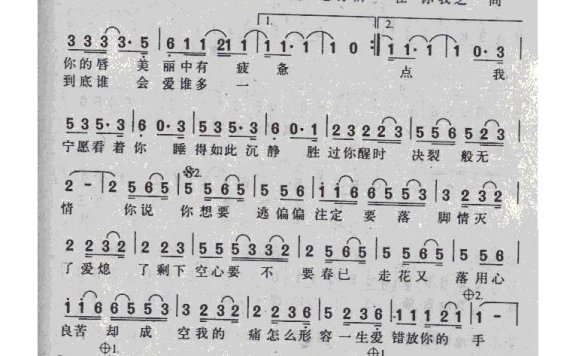 张宇-用心良苦