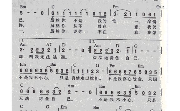 张镐哲-不是我不小心