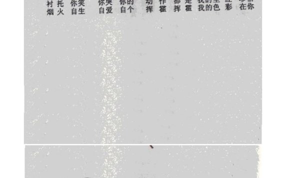 梁静茹-燕尾蝶