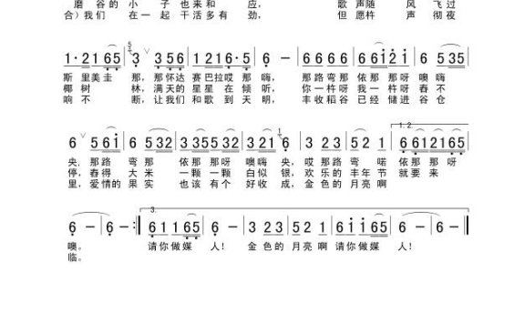 歌手-丰收后的夜晚(杆歌)