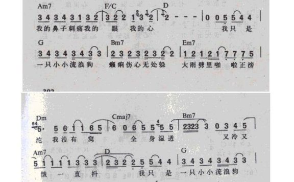 游鸿明-流浪狗