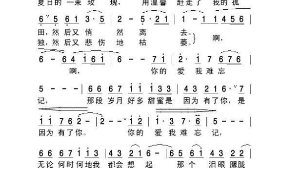 王红星-你的爱我难忘记