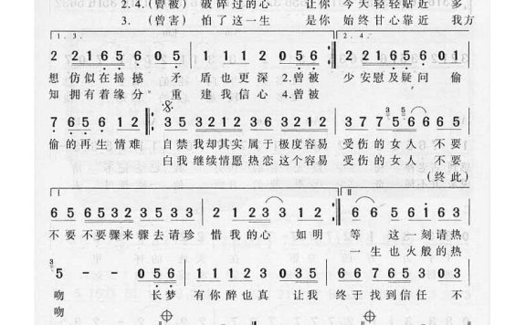 王菲-容易受伤的女人