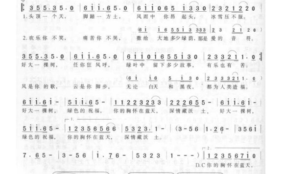田震-好大一棵树