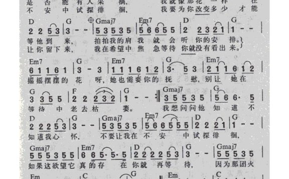 田震-野花