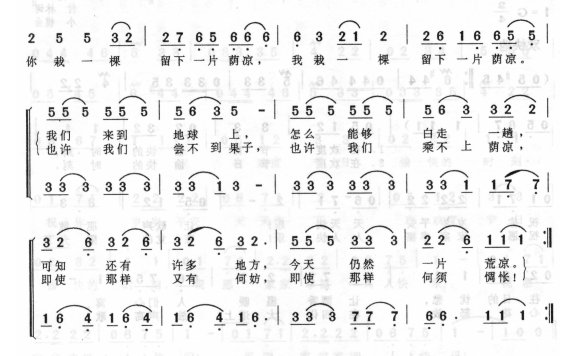 田鸣-留下一片阴凉
