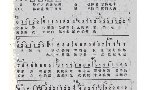 许绍洋-花香