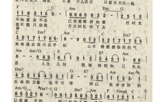 邓丽君-我只在乎你1