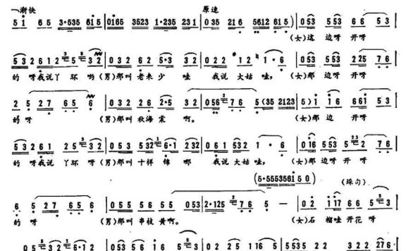 观花(二人转) - 乐谱