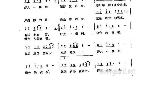 歌手-好大一棵树