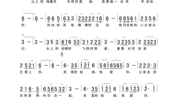 歌手-姑娘我爱你