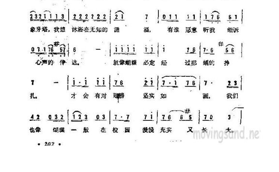 歌手-年轻人的心声