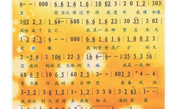 歌手-我是一朵柳絮