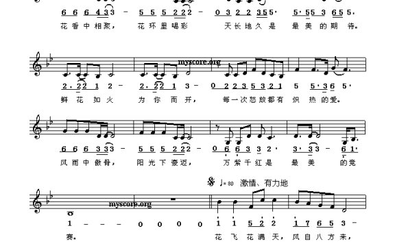 歌手-最美的风采