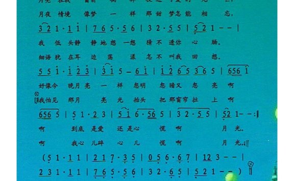 歌手-月光小夜曲