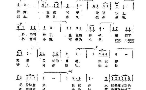 歌手-期望