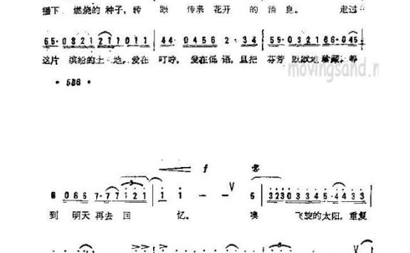 歌手-炽热的土地