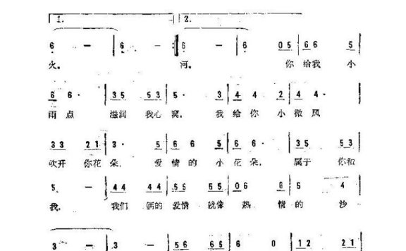 歌手-热情的沙漠