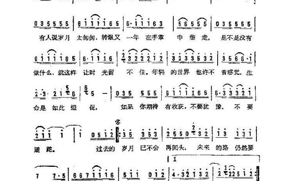 歌手-珍惜来临的一年