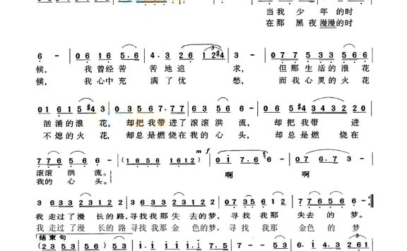 歌手-生命的星