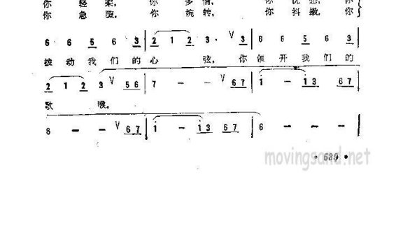 歌手-生活的节奏