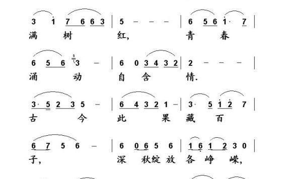 歌手-石榴花
