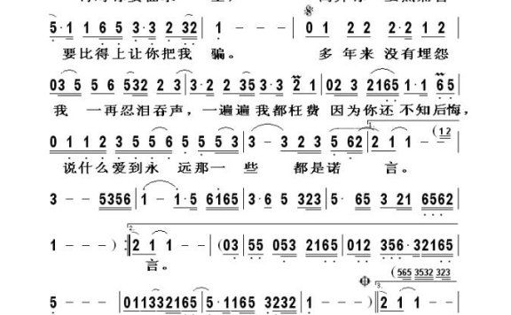 歌手-美丽的谎言
