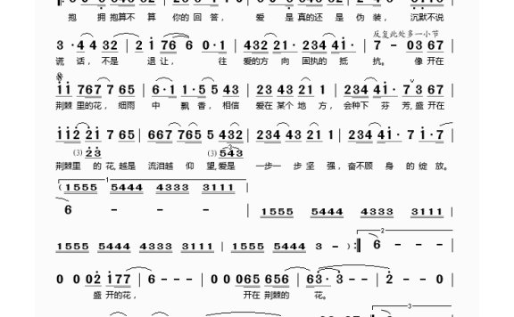 歌手-荆棘里的花