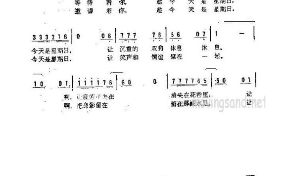 歌手-趁今天是星期日
