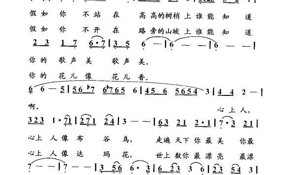 歌手-达玛花