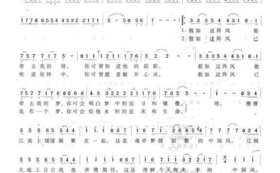 毛阿敏-风