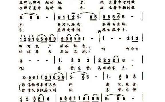王宏伟-东营 美丽的家乡