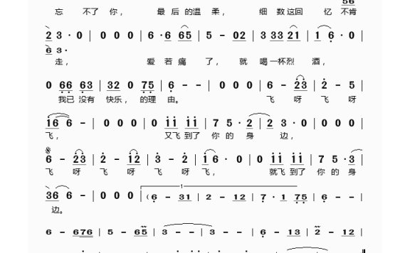 王强-飞到你身边