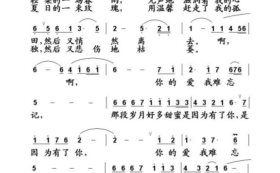王红星-你的爱我难忘记