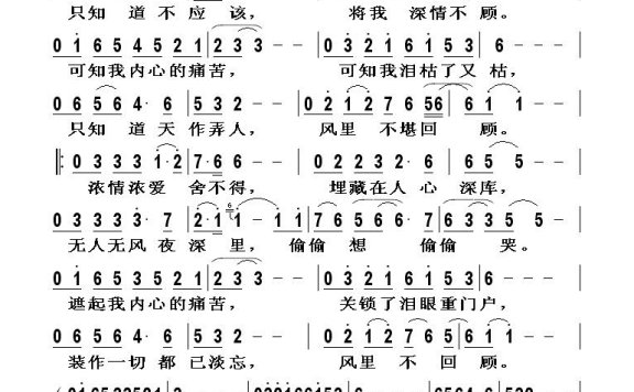 甄妮-风里不回顾