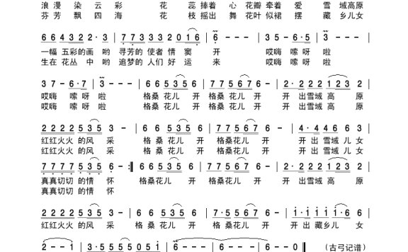 白玛-格桑花儿开